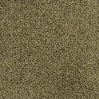 Masland Carpets Miami Cypress Masland