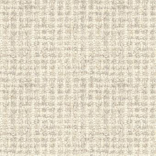 Masland Carpets Inspiration Light Grey Masland