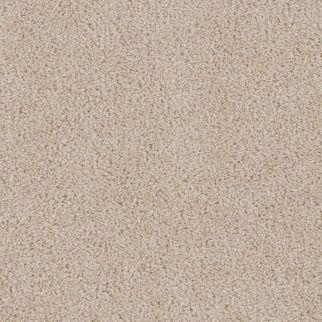 Dreamweaver Carpet Cedar Creek Eggshell DREAMWEAVER