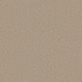 Dreamweaver Carpet Exceptional II Eggshell DREAMWEAVER