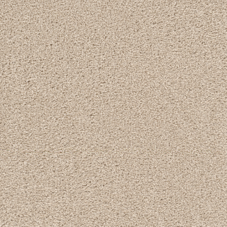 Dreamweaver Carpet Cape Cod Ivory DREAMWEAVER