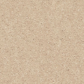 Mohawk Carpet Quality Feeling Scroll Mohawk