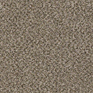 Shaw Floors Break Away (B) Toast SHAW