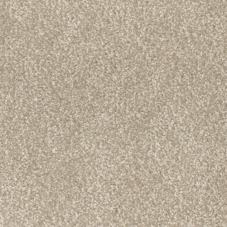 Dixie Home Summer Escape Camp