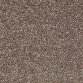Shaw Floors Newbern Classic 12 Suede SHAW
