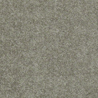 Shaw Floors Dyersburg Classic 12' Suede SHAW
