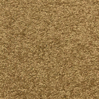 Masland Carpets Vero Beach Woofruff Masland