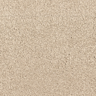 Dixie Home Spring Break Hammock