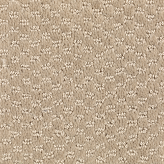 Mohawk Carpet Dynamo Bamboo Buff Mohawk