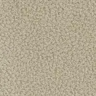 Phenix Carpets In The Details Delicate PHENIX