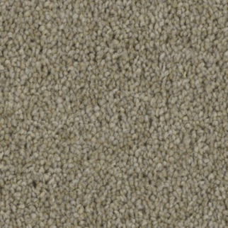 Phenix Carpets Entice MO Compel PHENIX