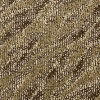 Masland Carpets Gamma Neuron Masland