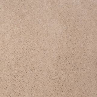 Aladdin Carpet Accelerator Plus Winning Neutral MISSING