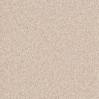 Dreamweaver Carpet East Hampton Blush DREAMWEAVER