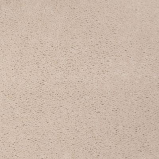 Aladdin Carpet Accelerator Plus Manor Stone MISSING