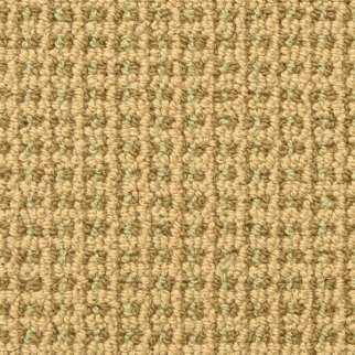 Masland Carpets Tresor II Willow Masland