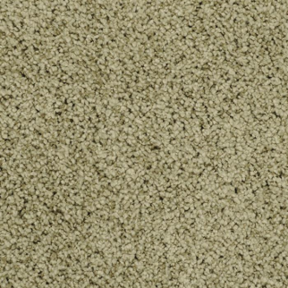 Masland Carpets Shangri-La Idyllic Masland