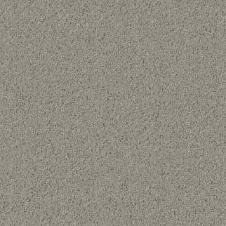 Tarkett Home Carpets Promenade Weathered LEXMARK