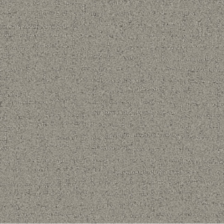 Tarkett Home Carpets Talk Of The Town Weathered LEXMARK