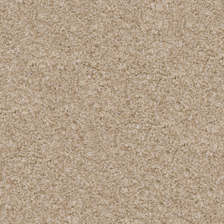 Dixie Home Labrador Bulldog