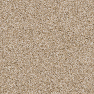 Dixie Home Pyrenees Bulldog