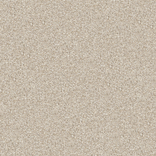 Masland Carpets Tracker Slinky Masland