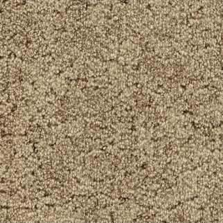 Godfrey Hirst Carpets Inspiring Selection Ecru GODFREY HIRST