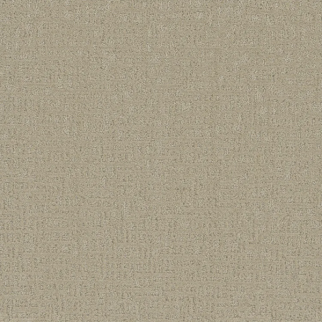 Phenix Carpets Sonder Intent PHENIX