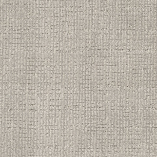 Dixie Home Bengal Tommaso