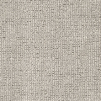 Dixie Home Tabby Tommaso