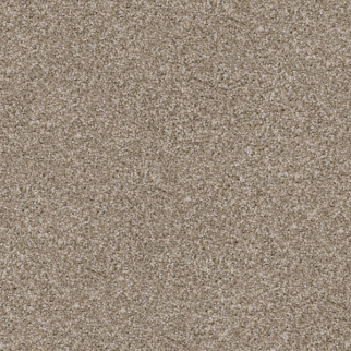 Dixie Home Labrador Sheltie