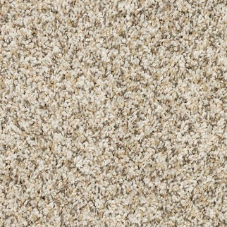 Mohawk Carpet Diffurent Choice II Fawn Mohawk