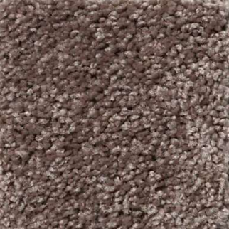 Shaw Floors All Star Weekend I 12' Barn Beam SHAW