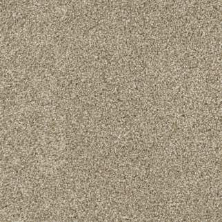 Dixie Home Big Idea Pebble