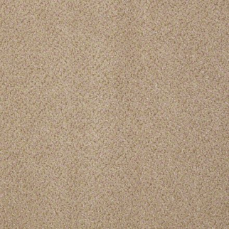 Philadelphia Commercial Prestige Authority Shaw