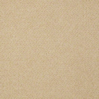 Philadelphia Commercial Prestige Pizzazz Shaw