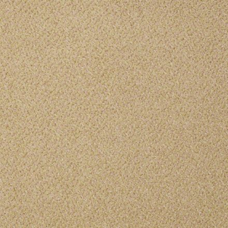 Philadelphia Commercial Prestige Cachet Shaw