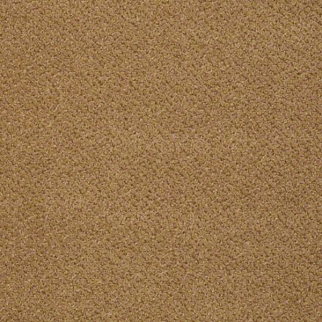 Philadelphia Commercial Prestige Celebrity Shaw