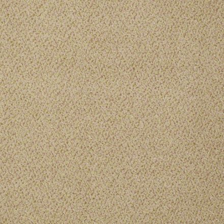 Philadelphia Commercial Prestige Jurisdiction Shaw