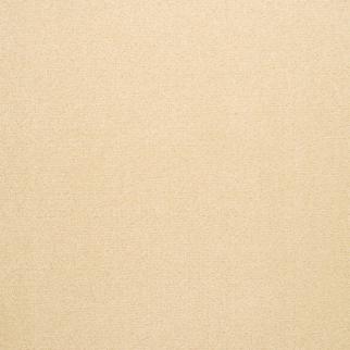 Fabrica Carpets Captiva Suntan Fabrica