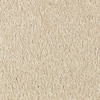 Mohawk Carpet Elegant Appeal I 12' Shell Trail Mohawk