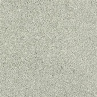 Masland Carpets Key West Tree Moss Masland