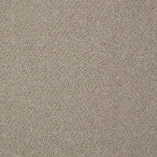 Philadelphia Commercial Prestige Supremacy Shaw