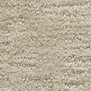 Mohawk Carpet Random Nature Illusion Mohawk