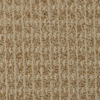 Masland Carpets Hudson Valley Dobbs Ferry Masland