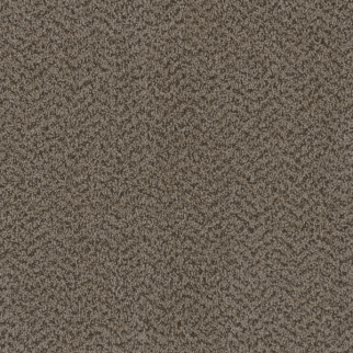 Dreamweaver Carpet Sweepstakes Crystal DREAMWEAVER