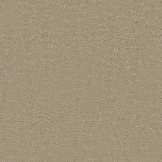 Phenix Carpets Glam Stylish PHENIX