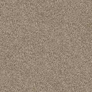 Dixie Home Shepherd Spaniel