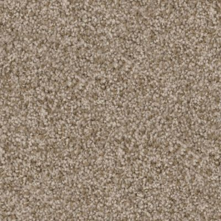 Dixie Home Pyrenees Spaniel