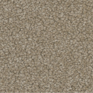 Tarkett Home Carpets Allure Appeal LEXMARK